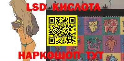 mdpv Краснознаменск