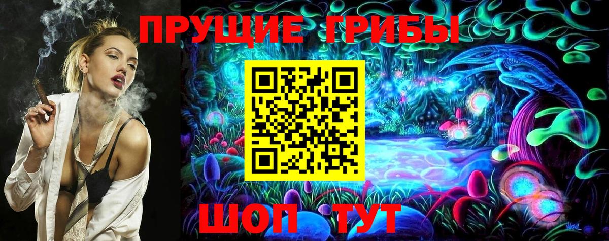Псилоцибиновые грибы GOLDEN TEACHER Тимашёвск