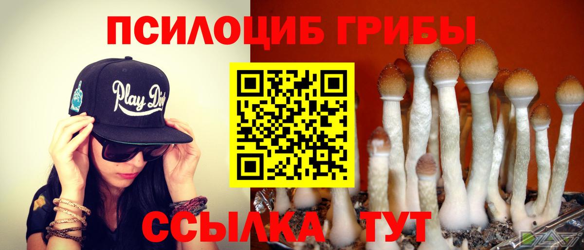 Тимашёвск  Псилоцибиновые грибы мухоморы  Вход с VPN  Галлюциногенные грибы ЛСД 